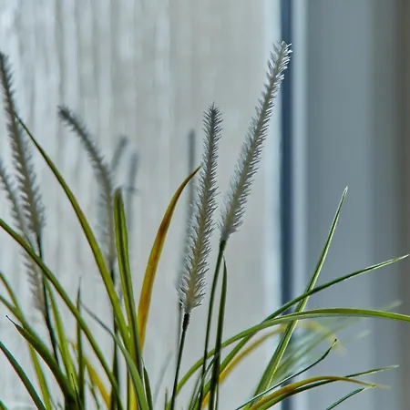 Haus Blanka Vakantiehuis