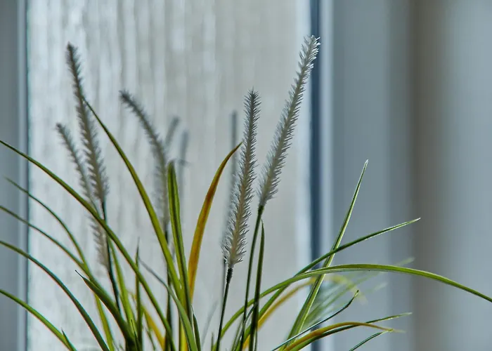 Haus Blanka بيت للعطل